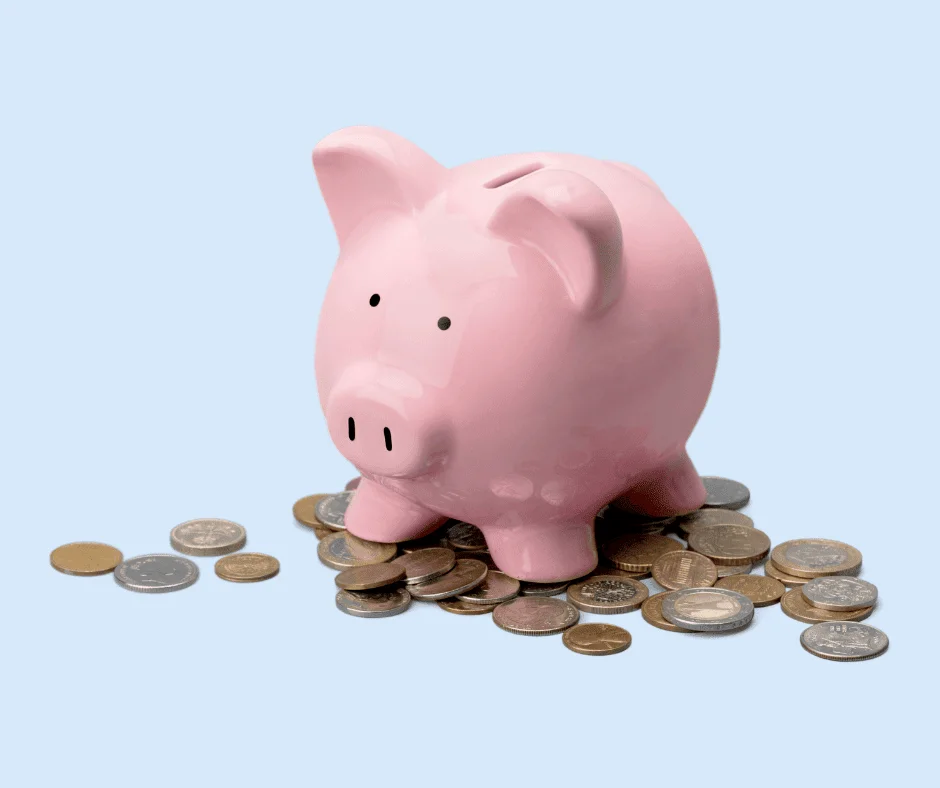 Pink piggy bank surrounded by coins, symbolizing how to plan and manage a digital marketing budget. Pink piggy bank surrounded by coins, symbolizing how to plan and manage a digital marketing budget.